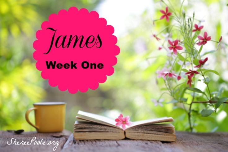 week-one-blog-photo-final